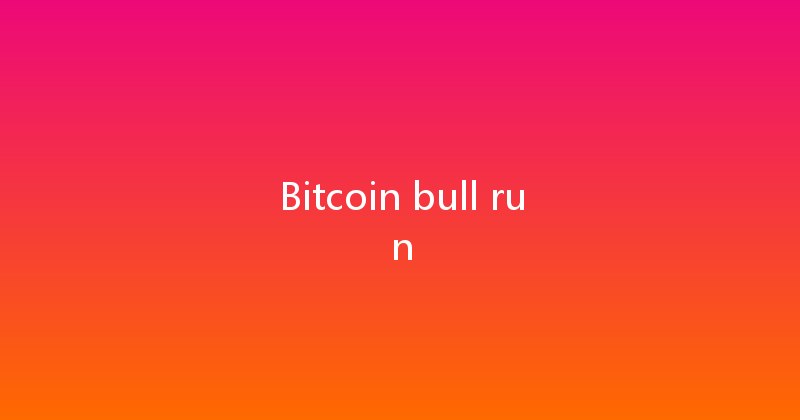 Bitcoin bull run 